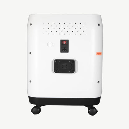 H-02 Home 2-10L Adjustable Continuous Flow Oxygen Concentrator, CE-Approved